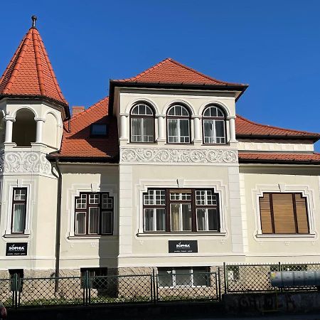 Vila Marioara Сібіу Екстер'єр фото